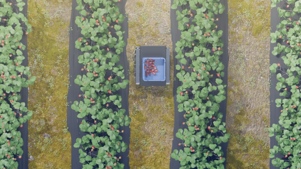 A robot engaged in strawberry transport
